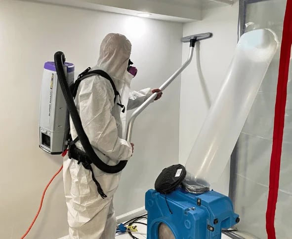 mold remediation