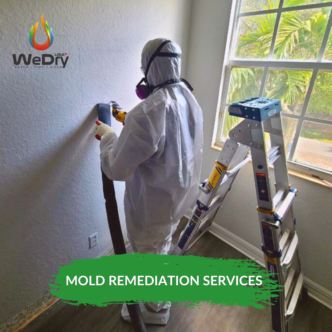 mold remediation