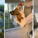Mold Risks After Hurricanes Helene and Milton: An Expert Perspective