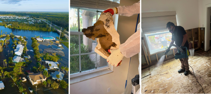 Mold Risks After Hurricanes Helene and Milton: An Expert Perspective