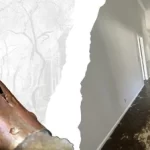 Frozen Pipes and Water Damage: What Every Homeowner Should Know